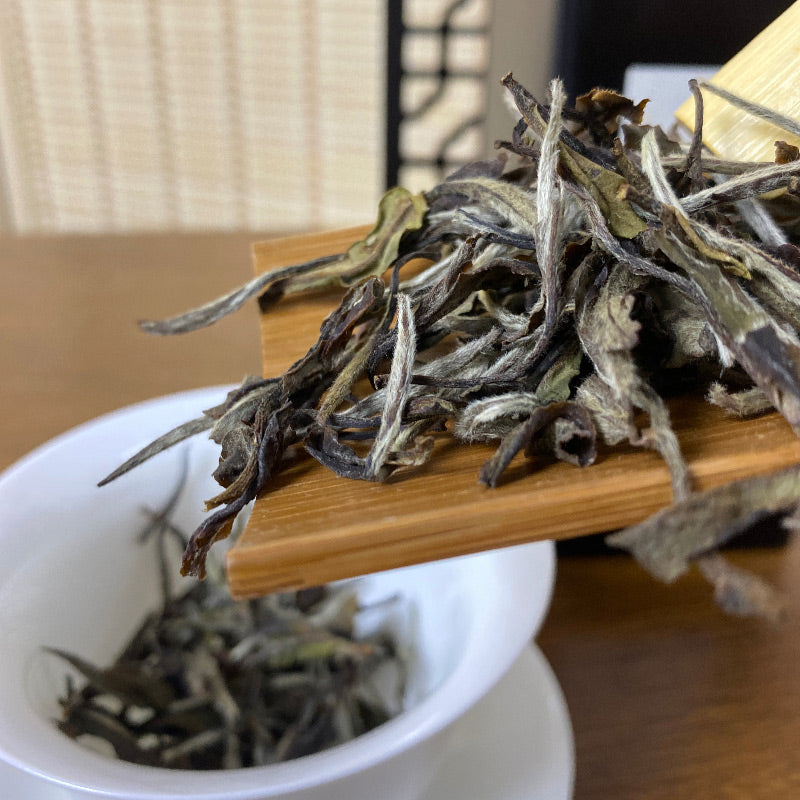 Jianyang Bai Cha