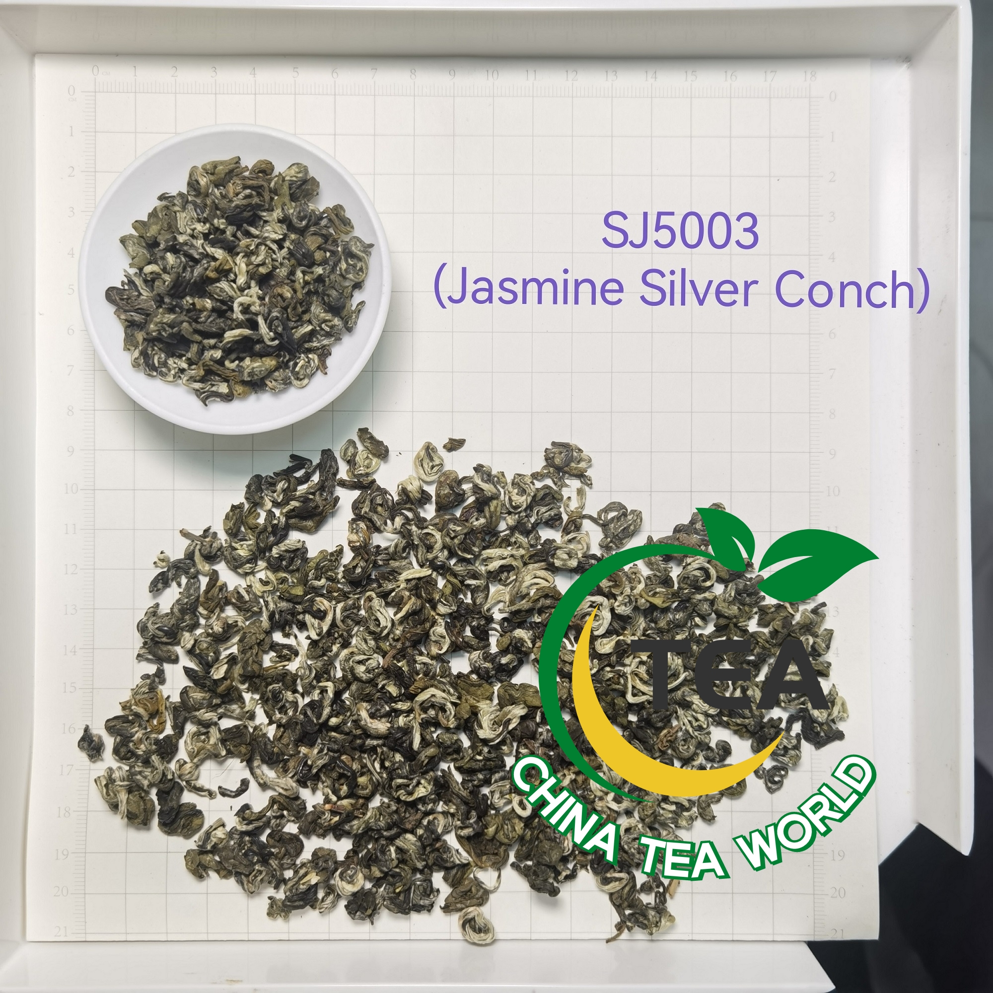 Jasmine Silver Conch